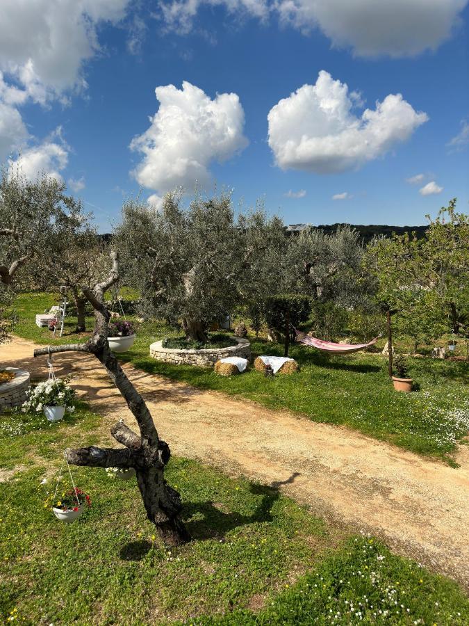 Trulli Barsento Guest House Алберобело Екстериор снимка