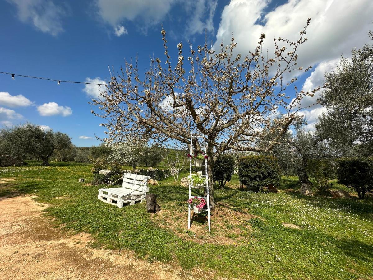 Trulli Barsento Guest House Алберобело Екстериор снимка
